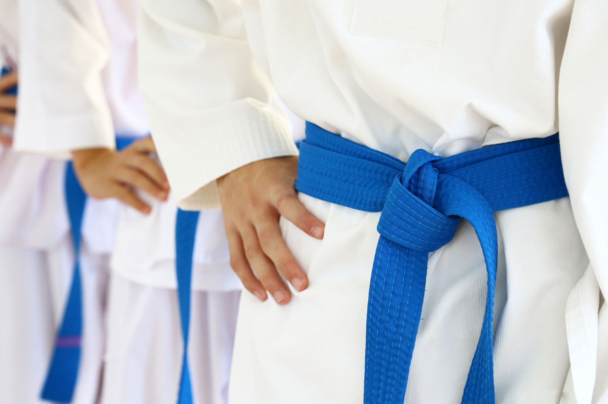 Best Of karate competition blue belt Sessions practiced